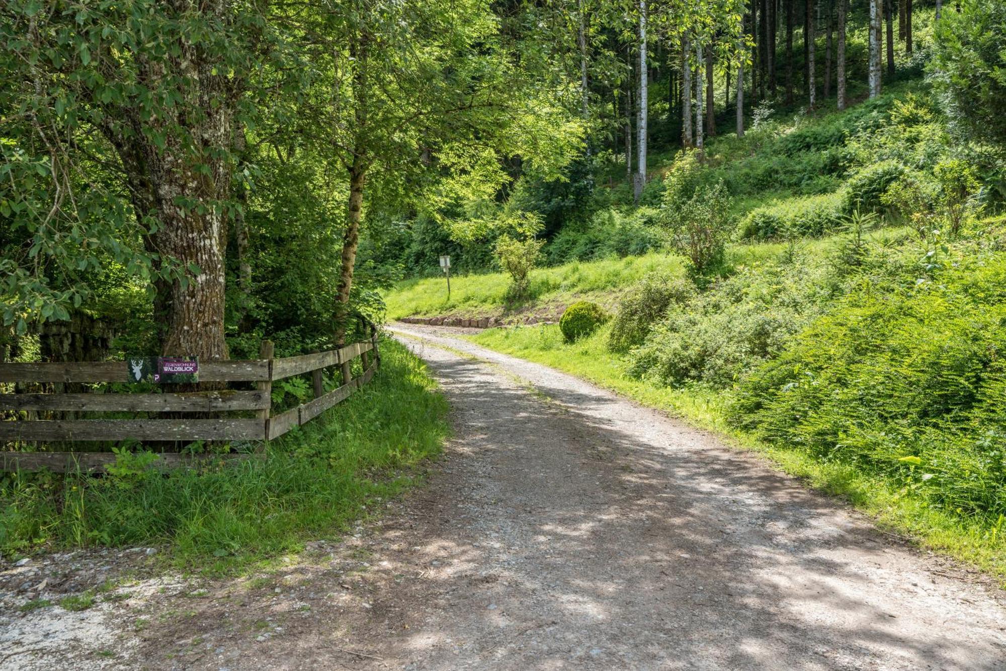 Ferienwohnung Waldblick Freudenstadt Eksteriør billede